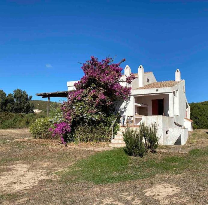 Casa Bianchi - Villa Immersa Nel Verde 卡洛福泰 外观 照片